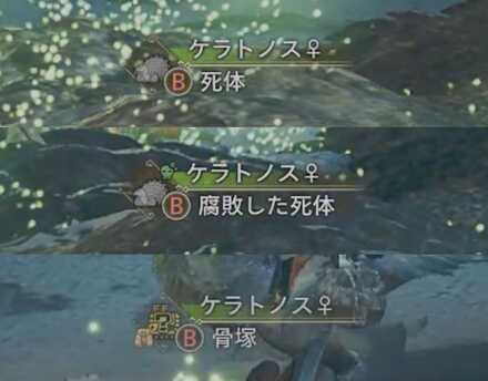 モンスターが骨塚になるまで