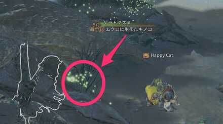 ムクロに生えたキノコ