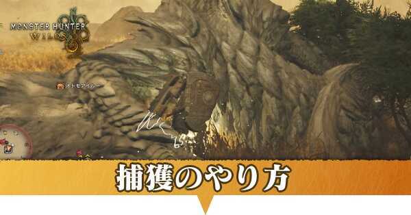 捕獲のやり方