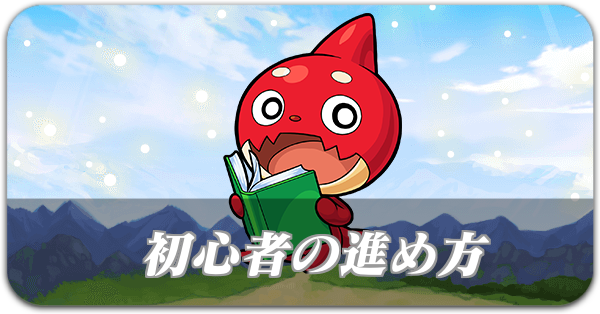 初心者の進め方