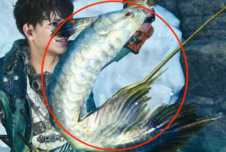 白金魚の効果と使い方