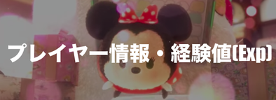 プレイヤー情報・経験値(Exp).png