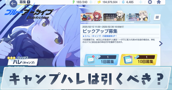 キャンプハレは引くべき？