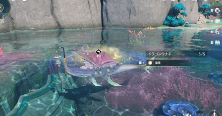 ドラゴンウナギの場所