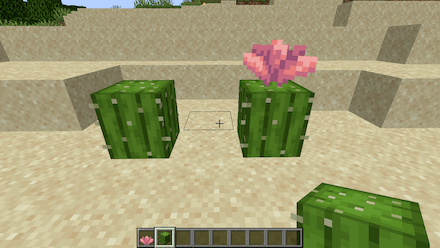 サボテンに生成される