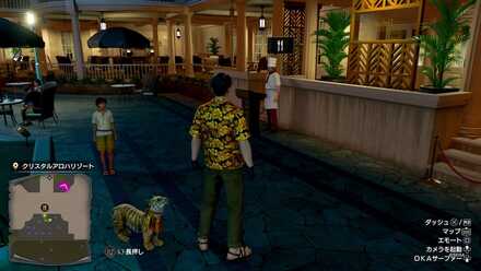 魔法の料理画像