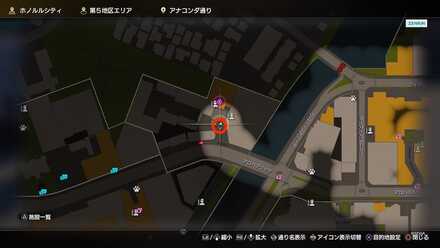 第5地区の子猫画像