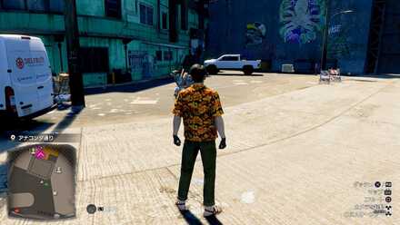 第5地区の子猫画像