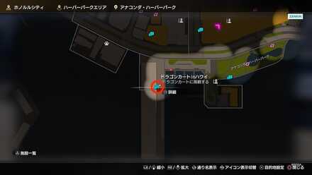 ドラゴンカートinハワイ画像