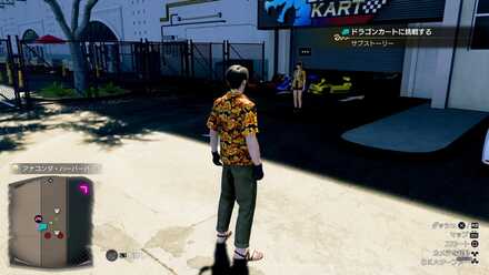 ドラゴンカートinハワイ画像
