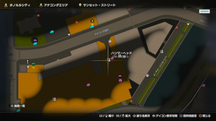 ハンマーヘッド画像