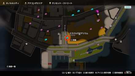 ミラクルアクアリウム画像