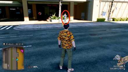 ミラクルアクアリウム画像