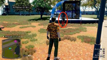 ミラクルアクアリウム特別編画像