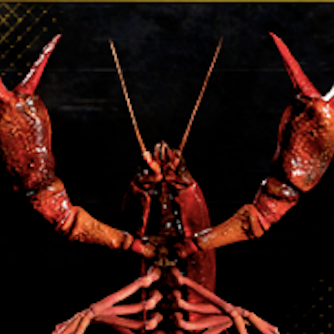 ナンシーちゃん画像