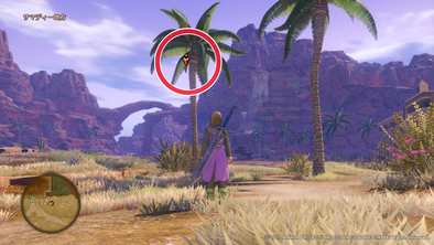 サマディー地方のマト4