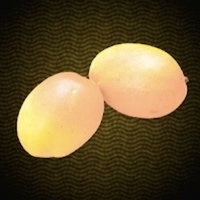 上質なマンゴー画像