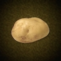 ジャガイモ画像