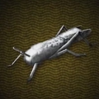 銀のバッタ画像