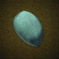 極上の果実画像