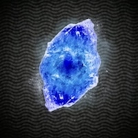 シャークストーン画像