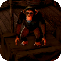 ココナッツ画像