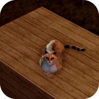 ビューティー画像