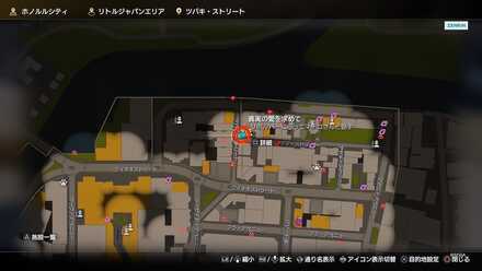 真実の愛を求めて画像