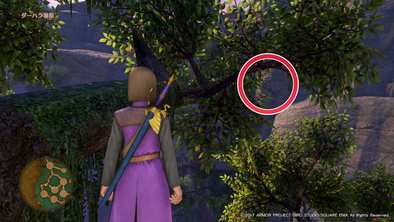 ダーハルーネ地方のマト3の画像