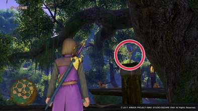 ダーハルーネ地方のマト2の画像