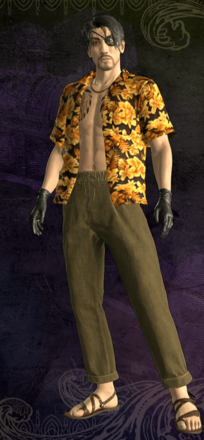 ハワイスタイル