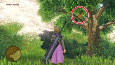 ソルティアナ地方のマト2画像