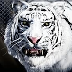 エジムンド君画像