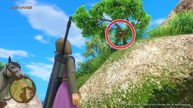 ソルティアナ地方のマト5画像