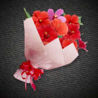 ハイビスカスの花束ギフト画像