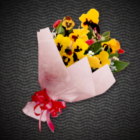 パンジーの花束ギフト画像