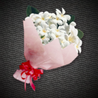 プルメリアの花束ギフト画像