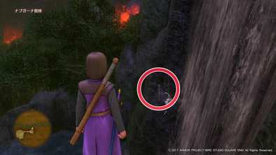 ナプガーナ密林のマト1の画像