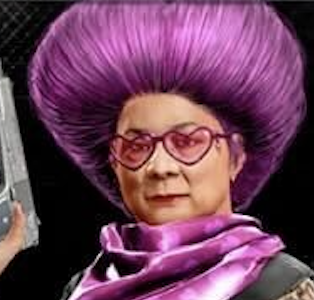 マチコさん画像