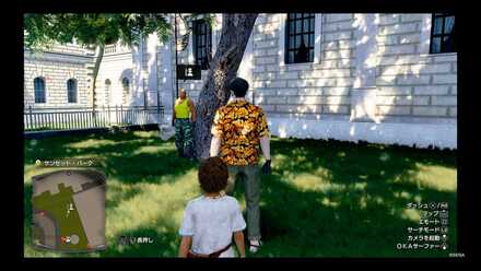 昆虫博士 ルイの場所