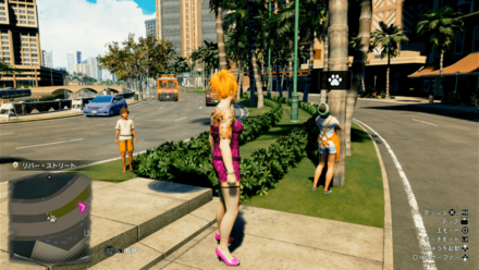 ココナッツの場所