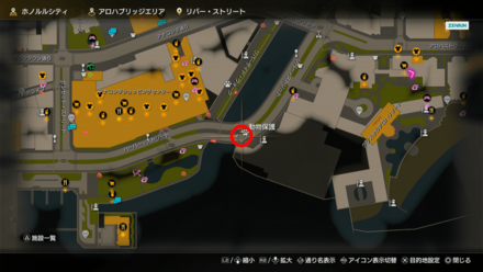 ココナッツの場所