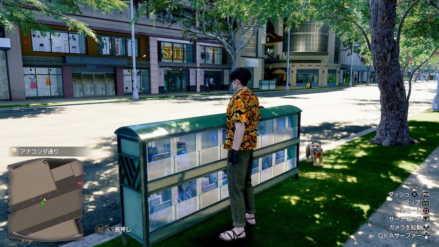 高級フリーペーパー場所