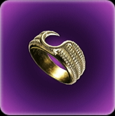 ワイヤーフックリング画像