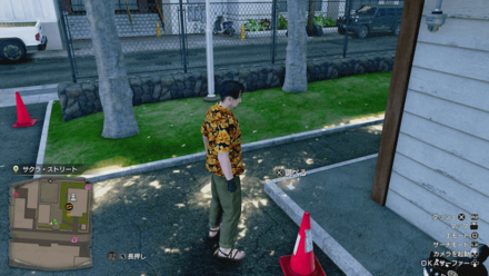 ハワイの街中に落ちている