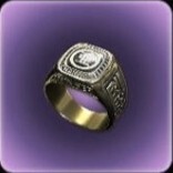 覇者の指輪画像