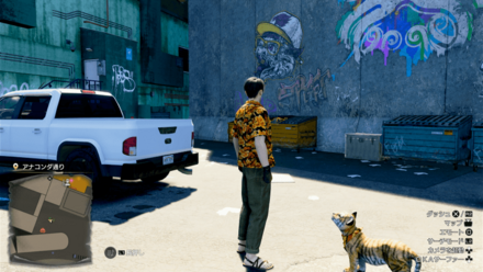 カウボーイの実際の入手場所