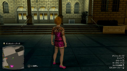 ワイルドダンサーの実際の入手場所