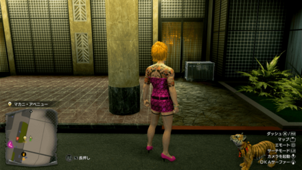 高貴な海賊の実際の入手場所