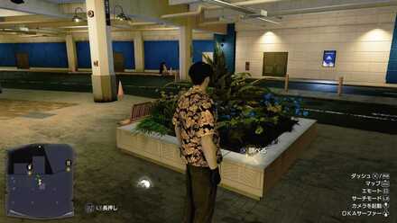 おみくじ91の現地画像